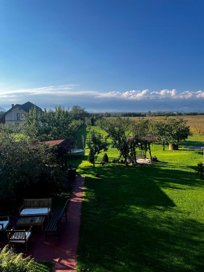 Vila Sofia Хацег Екстер'єр фото